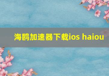 海鸥加速器下载ios haiou